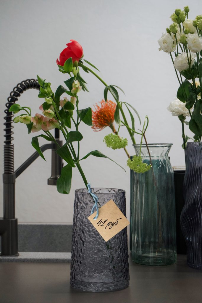 Zazou Home